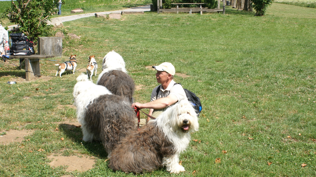 2011 - Treffen Walldürn