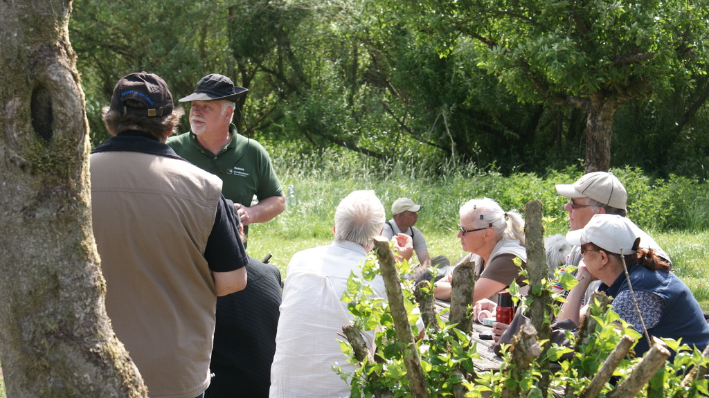 2011 - Treffen Walldürn