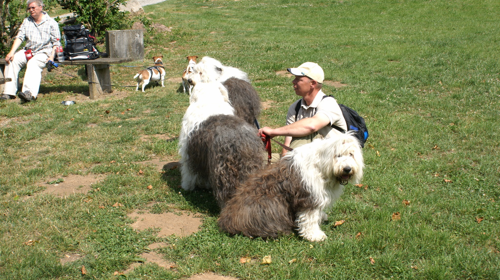 2011 - Treffen Walldürn