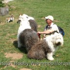 2011 - Treffen Walldürn